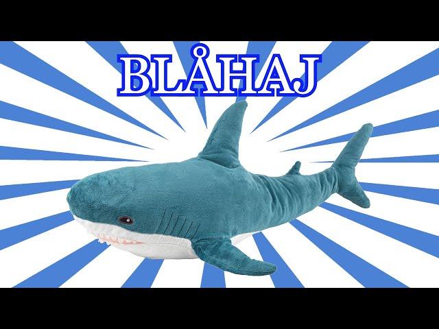 How Blåhaj Became An Internet Icon (BLAHAJ Explained)