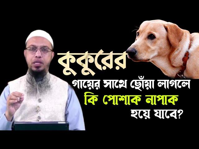 কুকুর গায়ে লাগলে কি নামাজ হবে। শায়খ আহমাদুল্লাহ প্রশ্ন‌‌‌ উত্তর