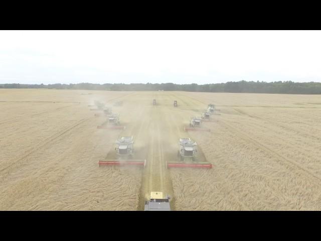 Harvesting of grain RBPI Group 2