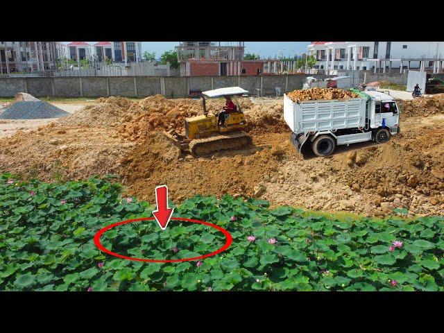 Technique Pushing SOIL using Bulldozer D31-P KoMATSU & Fill land with truck 5T