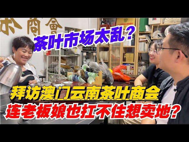 茶叶市场太乱？拜访澳门云南茶叶商会，连老板娘也扛不住想卖地？购茶请加微信/赖line2号店：HDLG003（同号）#普洱茶#古树茶 #老班章 #古树茶#茶#茶叶#茶葉#古樹茶