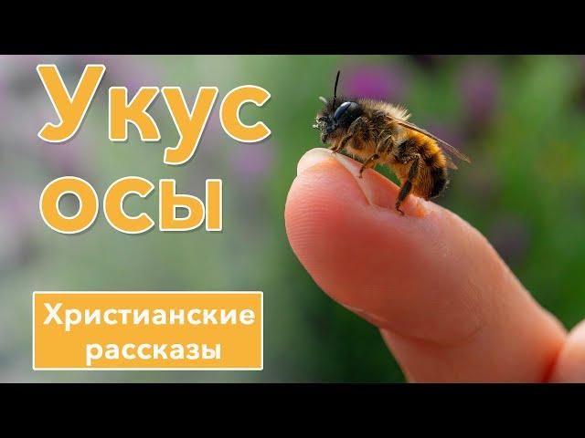  Укус осы - ИНТЕРЕСНЫЙ ХРИСТИАНСКИЙ РАССКАЗ | Христианские рассказы