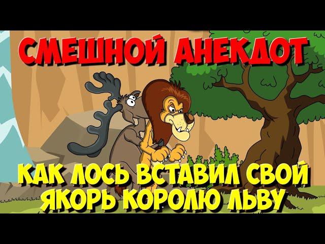 Анекдоты про зверей. Как Лось свой огромный якорь вставил Льву. Мультанекдот