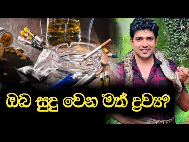 ඔබ සුදු වෙන මත් ද්‍රව්‍ය? | Dinesh Muthugala | Episode 86