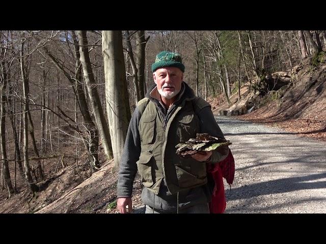 Natürlich draußen im Taunus