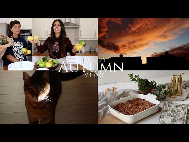 A COSY AUTUMN VLOG IN LONDON | Alessandra Rosa