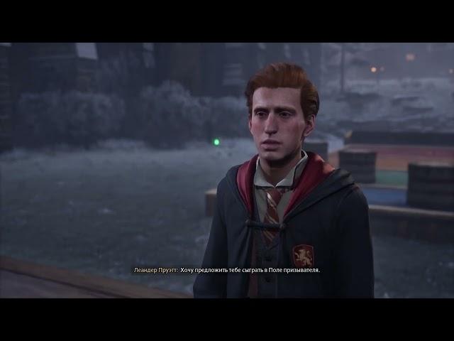 #14 Разнообразие . Прохождение Hogwarts legacy