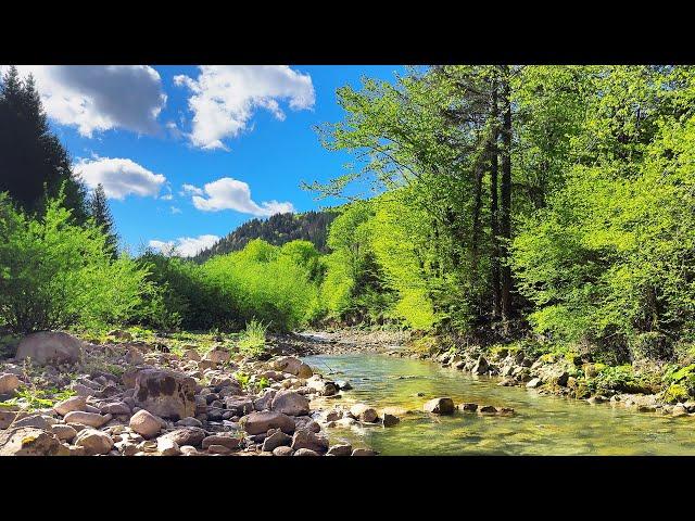 Relaxing Native American Flute Music with Nature Sounds for Meditation, Sleep, Study & Relaxation