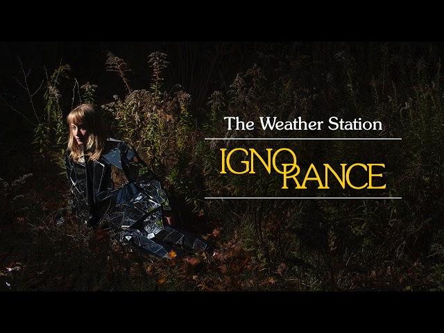 The Weather Station - Ignorance (Full Album Stream)