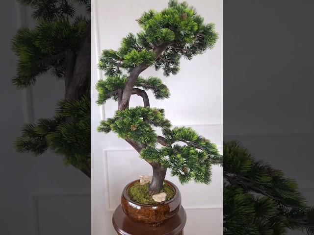 Бонсай на заказ #декор #интерьер #бонсай #новыйгод #новогоднийподарок #красота #декоринтерьера #дом