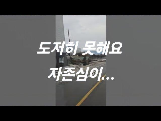 도저히 못하겠습니다 화물운수업 트럭커 콜바리 지입차