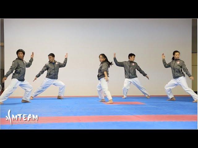 Team-M Taekwondo: 2013 training, fails, & more!