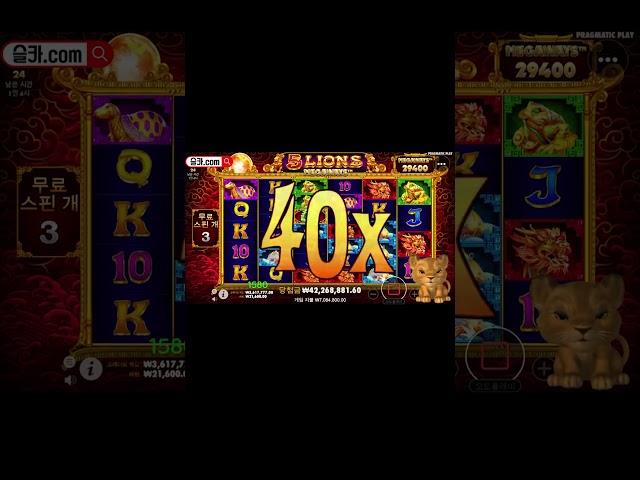 슬롯카메오 사자 오라메 이거 뭔가요 주작영상! #슬롯머신 #슬롯 #프라그마틱 #잭팟 #slot #pragmatic