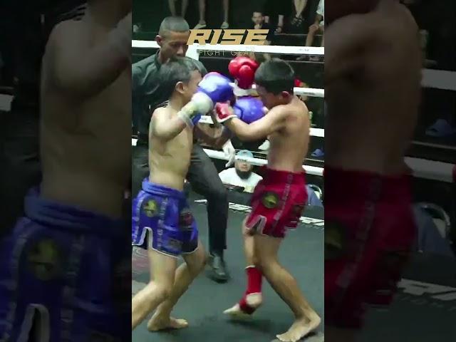 Future Champions in Action | Muay Thai Highlights | Thai Warriors Showdown  #thaifighter #thaifight