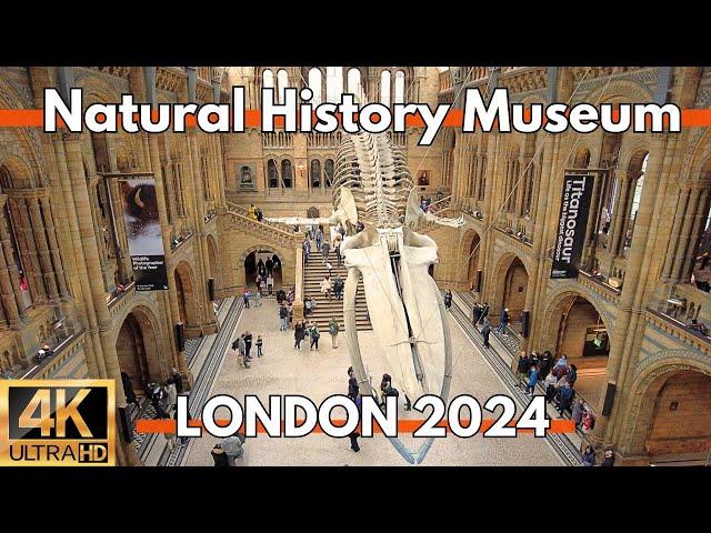 London 2024 Inside Natural History Museum 4K Walking Tour Video ULTRA HD