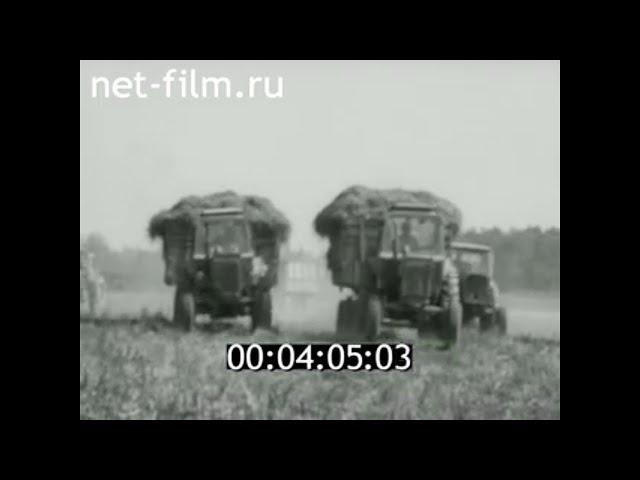 1979г. колхоз Большевик. Тюменская обл.
