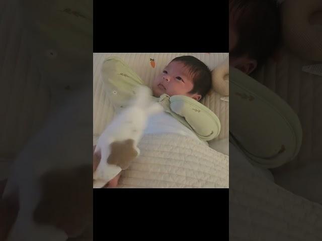 우리아들 잔혹동화