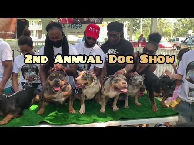 Draft Pick Kennel | 2nd Annual Dog Show | Teaser