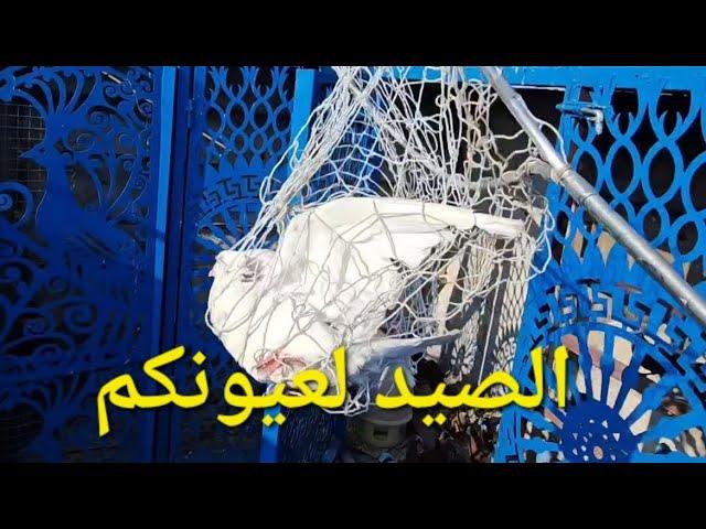 الحلقه 24 يوميات سطح فارس الكربلائي 2 جاوبت ع بعض التعليقات