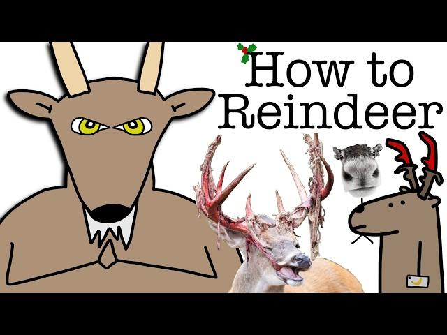 Your Life as a Reindeer