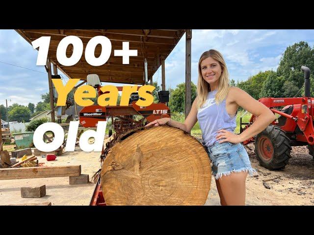 100+ Year OLD CYPRESS tree on the Sawmill! (Beautiful Grain Pattern!!!)