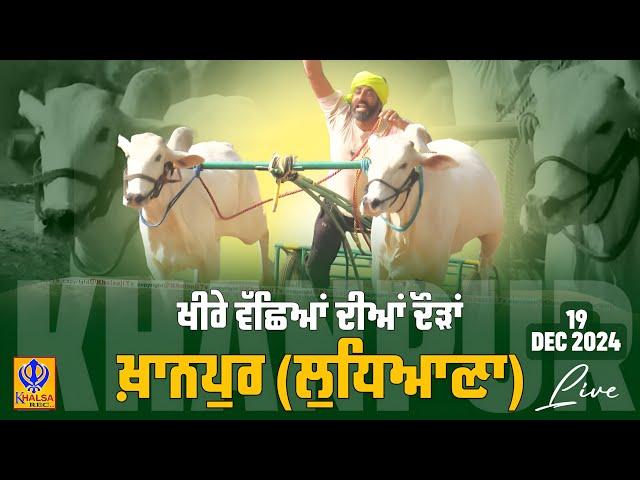 [Live] Khanpur | Ludhiana | ਖੀਰੇ ਵੱਛਿਆਂ ਦੀਆਂ ਦੌੜਾਂ | Ox Races | 19 Dec 2024