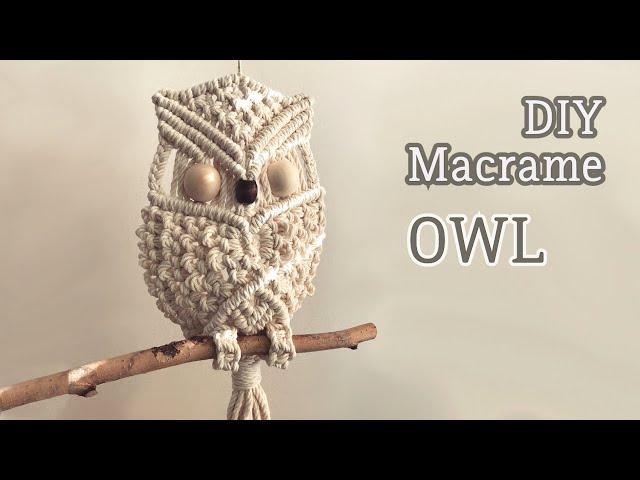 DIY Macrame Owl / 마크라메 부엉이