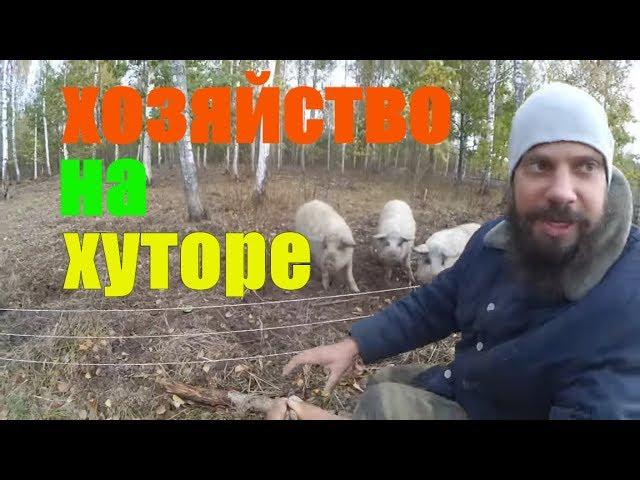 Хозяйство на хуторе // осень 2018 // Жизнь на хуторе