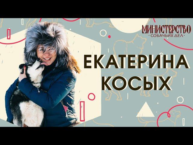 Катя из Husky Help: какие бывают хаски, кому не стоит их заводить и как появился приют