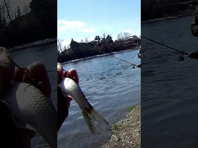 ...по открытой воде 2024