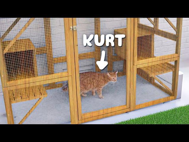 Building Kurt's Dream Catio