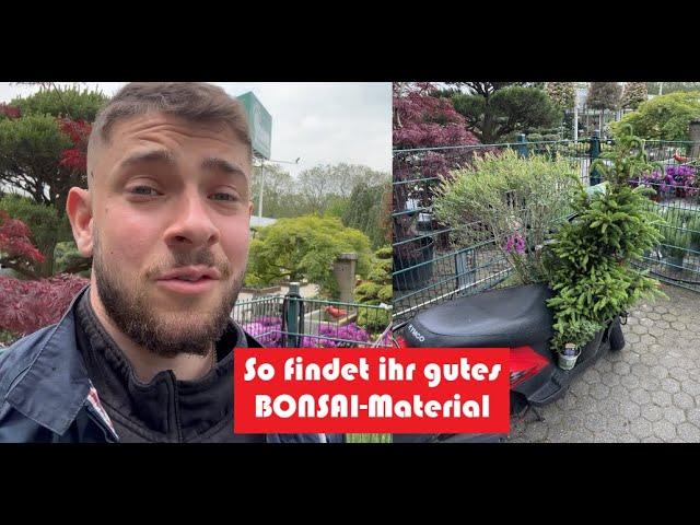 Shoppingtour für Bonsai-Material: So wählt ihr die richtigen Pflanzen für zukünftige Bonsais
