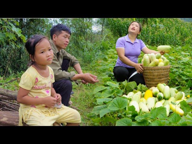 Harvest the vegetable garden to feed the ducks, go to the market to sell agricultural products