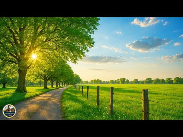 Красивая утренняя музыка! Весна пришла! Самая красивая мелодия на свете! Музыка Для Души ,, #МУЗЫКА