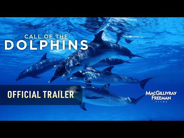 Call of the Dolphins – Official IMAX Trailer - Narrated by Mary Steenburgen