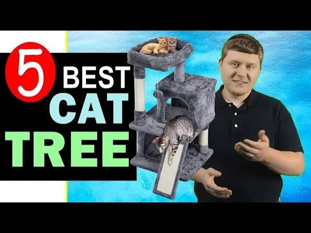 Best Cat Tree 2023-2024  Top 5 Best Cat Tree Tower Reviews