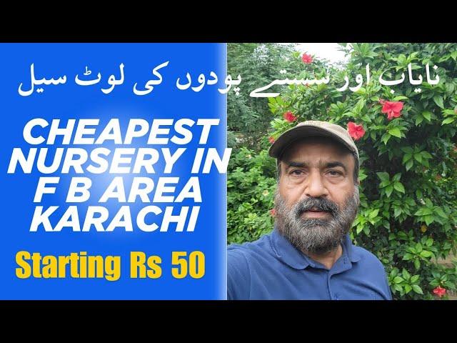 cheapest Nursery in Karachi |Cheapest nursery plants  || Karachi FB Area Block 14 nursery plants