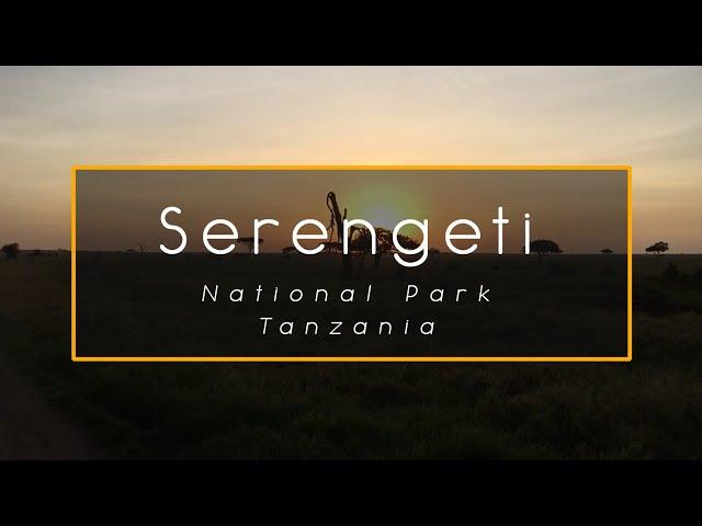 Tanzania - Serengeti NP - 4challenge