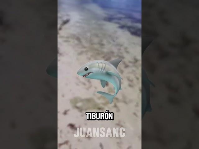 ESTO le pasa a los tiburones en la playa 