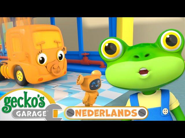 Regenboogverstoppertje | Gecko's Garage Nederlands | Vrachtwagen Cartoons Voor Kinderen