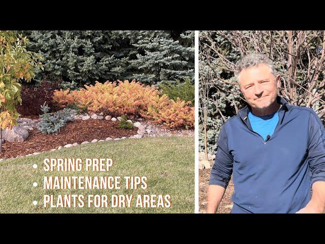 Spring Prep In A Landscape Bed | Plant Variety Tour