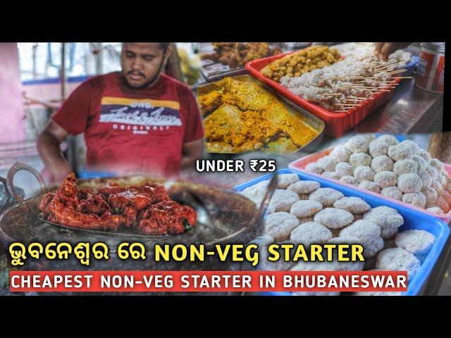 Man Selling 15 Types of Non Veg Starter | Non Veg Starter in Bhubaneswar | Street Food Bhubaneswar |