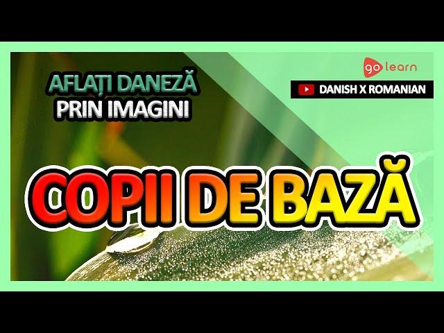 Aflați Daneză Prin Imagini |Vocabularul Daneză Copii De Bază | Golearn