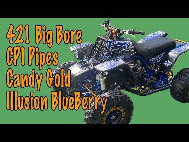 Project Blue and Gold 421 Banshee