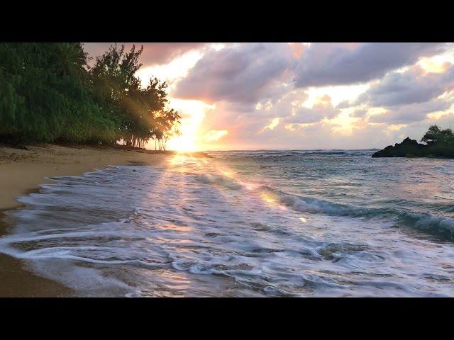 Hawaii Ocean Waves White Noise | Sleep, Study, Insomnia Relief | Beach Sounds 10 Hours