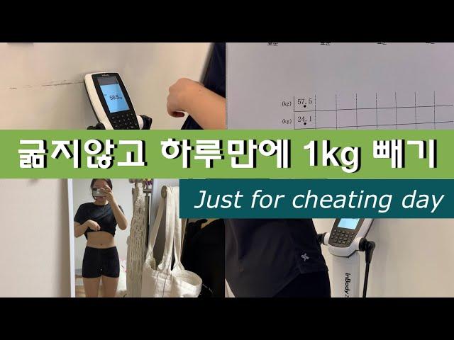 흥따챌린지/heungdda challenge/단기다이어트/오로지 치팅데이를 위한 치팅데이를 위해 하루 동안 굶지않고 1kg빼기!!