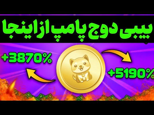 بیبی دوج پامپ بزرگ داره از اینجا دوباره پامپ میشه بیت کوین نقطه می رسه به 100 هزار دلار??