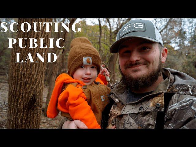 Oklahoma Public Land Scouting, Buck Sign!