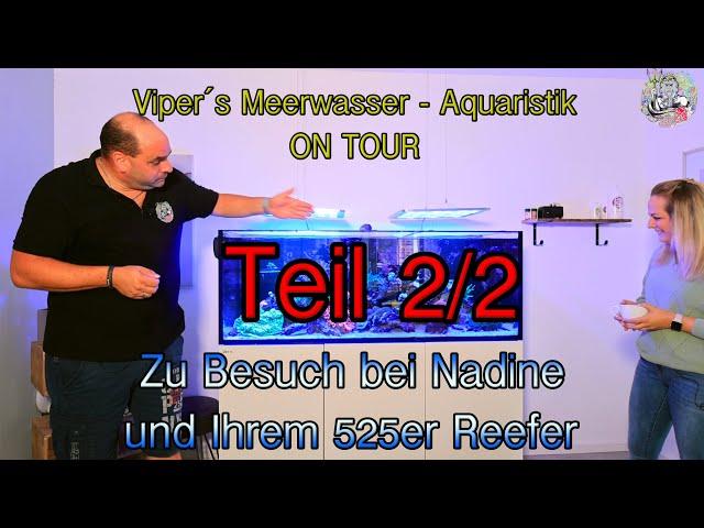 Viper´s Meerwasser Aquaristik ON TOUR  zu Gast bei Nadine Teil 2