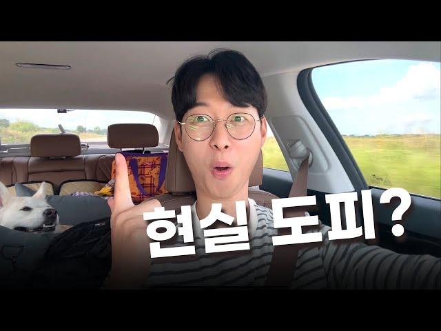 부자되겠다더니 갑자기 7박 8일 제주도로 떠나는 이유ㅣ브이로그ㅣ사업일기